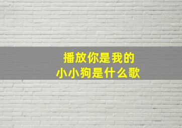 播放你是我的小小狗是什么歌