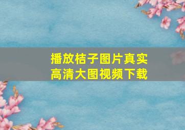 播放桔子图片真实高清大图视频下载