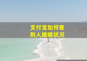 支付宝如何查别人婚姻状况