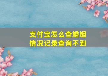 支付宝怎么查婚姻情况记录查询不到