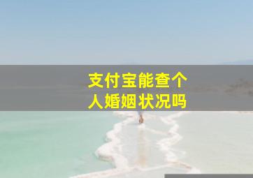 支付宝能查个人婚姻状况吗