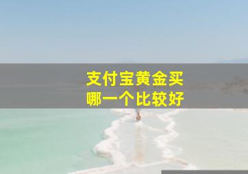 支付宝黄金买哪一个比较好