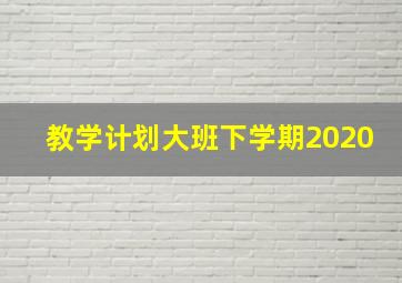 教学计划大班下学期2020