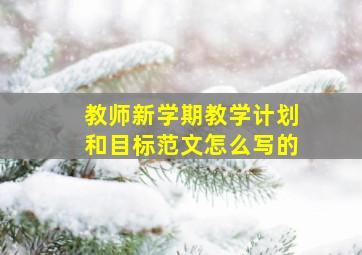 教师新学期教学计划和目标范文怎么写的