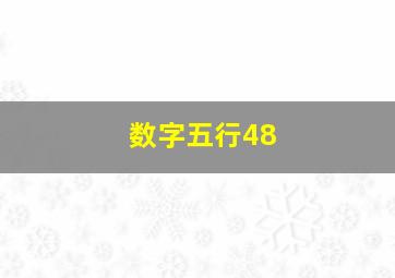 数字五行48