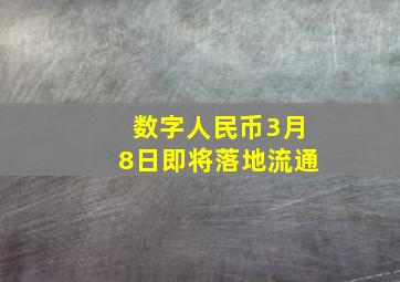 数字人民币3月8日即将落地流通