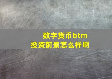 数字货币btm投资前景怎么样啊