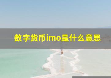 数字货币imo是什么意思