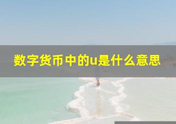 数字货币中的u是什么意思