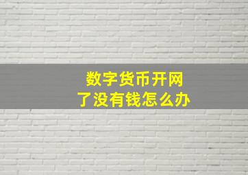 数字货币开网了没有钱怎么办