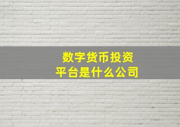 数字货币投资平台是什么公司