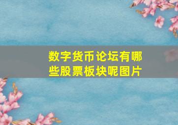 数字货币论坛有哪些股票板块呢图片