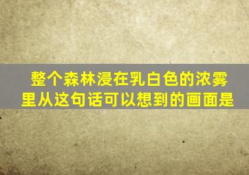 整个森林浸在乳白色的浓雾里从这句话可以想到的画面是