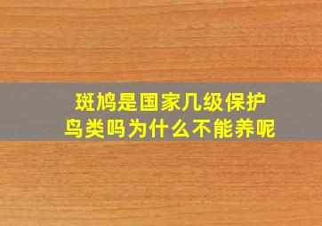 斑鸠是国家几级保护鸟类吗为什么不能养呢