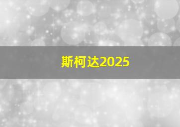 斯柯达2025