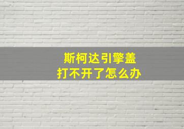 斯柯达引擎盖打不开了怎么办