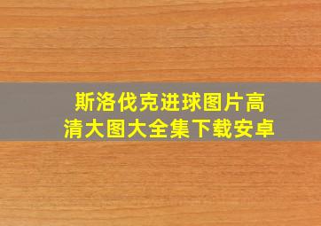 斯洛伐克进球图片高清大图大全集下载安卓