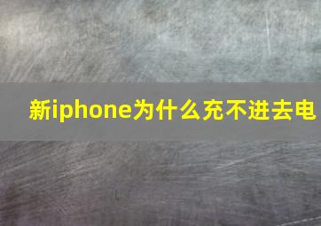 新iphone为什么充不进去电