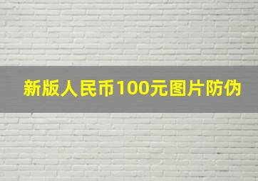 新版人民币100元图片防伪