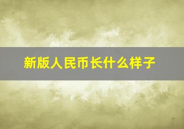 新版人民币长什么样子