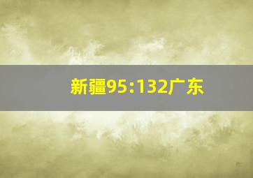 新疆95:132广东