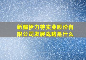 新疆伊力特实业股份有限公司发展战略是什么