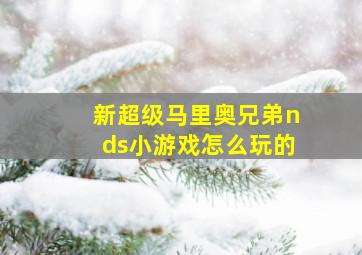 新超级马里奥兄弟nds小游戏怎么玩的