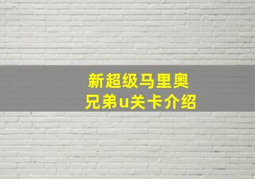 新超级马里奥兄弟u关卡介绍