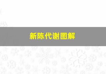 新陈代谢图解