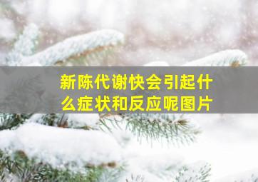 新陈代谢快会引起什么症状和反应呢图片