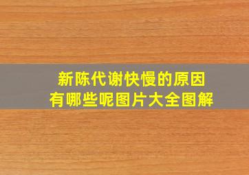 新陈代谢快慢的原因有哪些呢图片大全图解