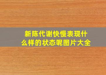 新陈代谢快慢表现什么样的状态呢图片大全