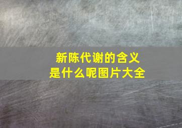 新陈代谢的含义是什么呢图片大全