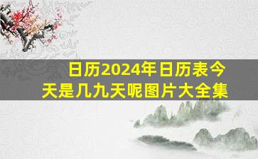 日历2024年日历表今天是几九天呢图片大全集