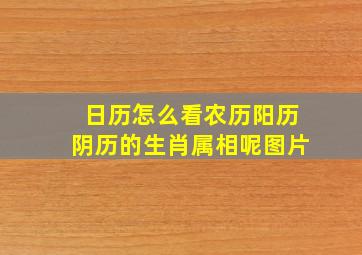 日历怎么看农历阳历阴历的生肖属相呢图片