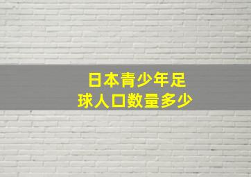 日本青少年足球人口数量多少