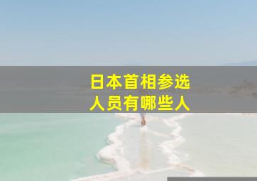 日本首相参选人员有哪些人