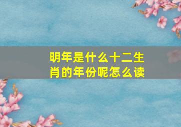 明年是什么十二生肖的年份呢怎么读