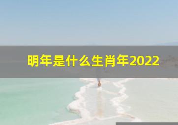 明年是什么生肖年2022