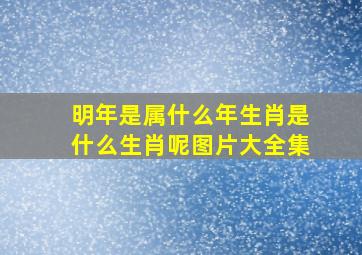 明年是属什么年生肖是什么生肖呢图片大全集