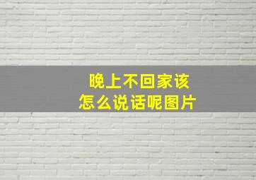 晚上不回家该怎么说话呢图片