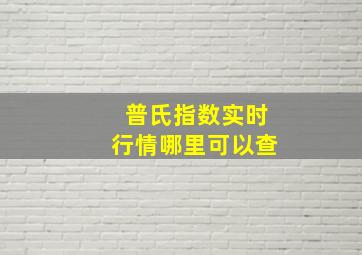 普氏指数实时行情哪里可以查