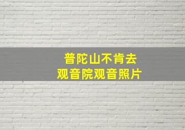 普陀山不肯去观音院观音照片