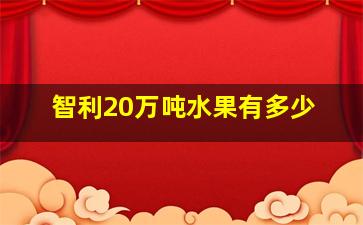 智利20万吨水果有多少