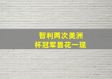 智利两次美洲杯冠军昙花一现