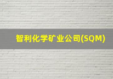 智利化学矿业公司(SQM)