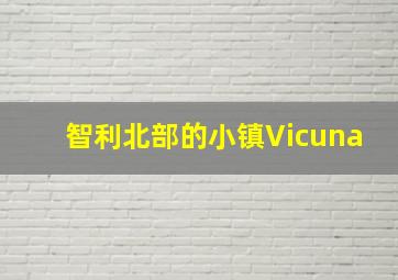 智利北部的小镇Vicuna