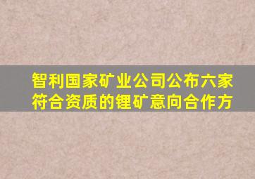 智利国家矿业公司公布六家符合资质的锂矿意向合作方