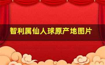 智利属仙人球原产地图片