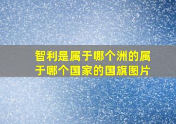 智利是属于哪个洲的属于哪个国家的国旗图片